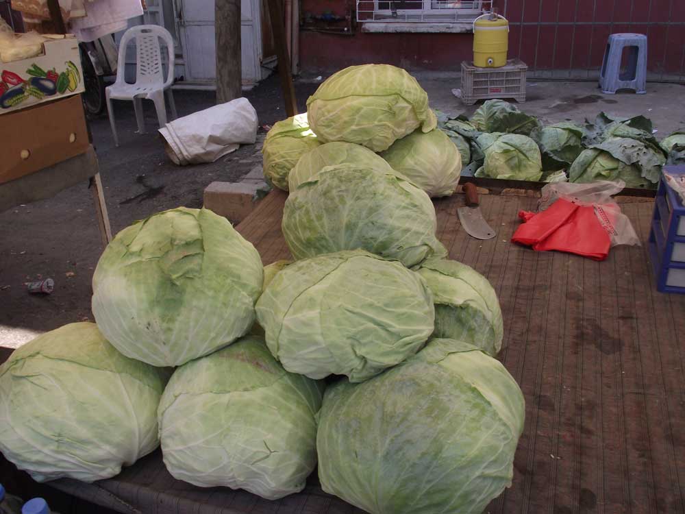 Resmi Bytmek in Tklaynz