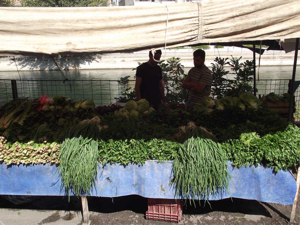 Resmi Bytmek in Tklaynz