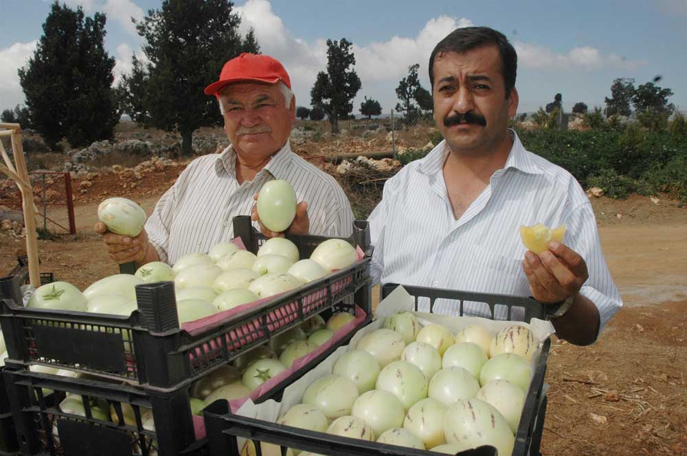 Resmi Bytmek in Tklaynz