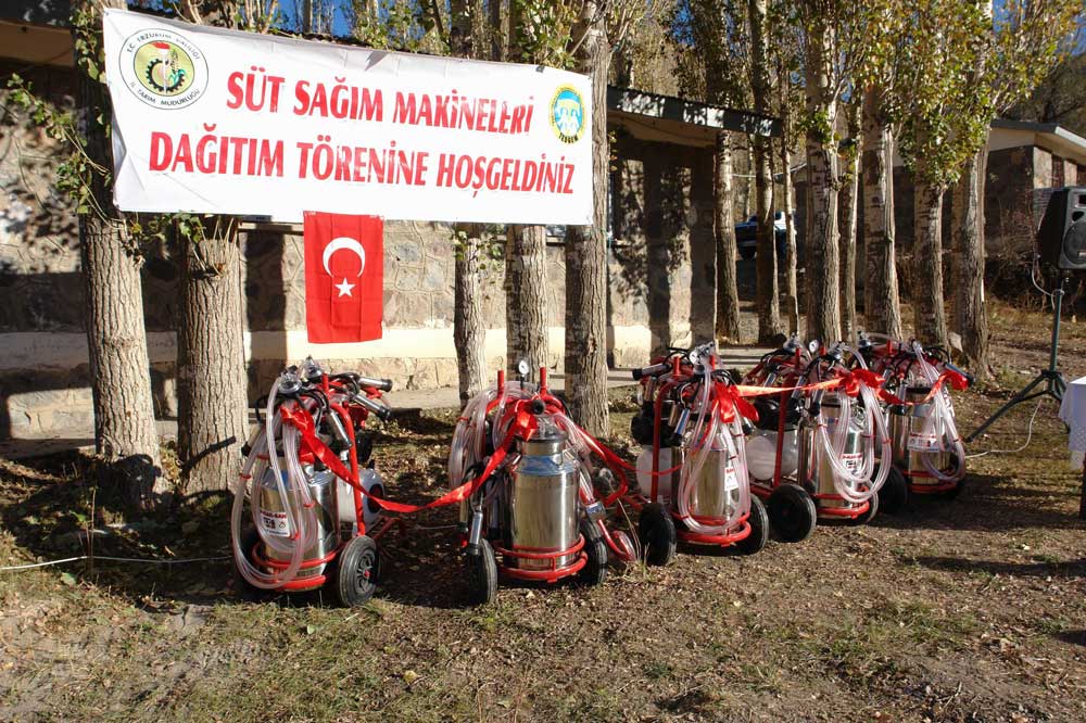 Resmi Bytmek in Tklaynz