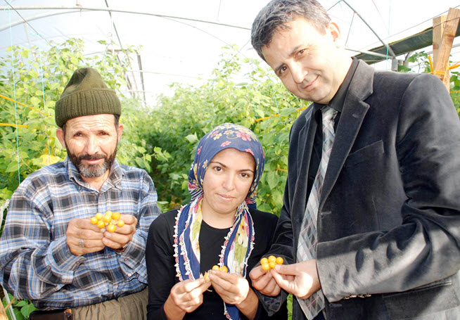 Resmi Bytmek in Tklaynz