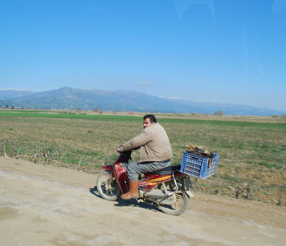 Resmi Bytmek in Tklaynz
