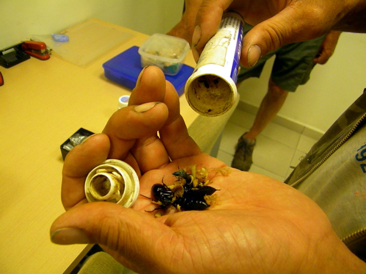 Resmi Bytmek in Tklaynz