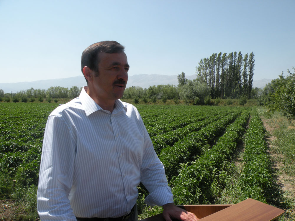 Resmi Bytmek in Tklaynz