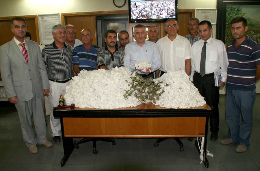 Resmi Bytmek in Tklaynz