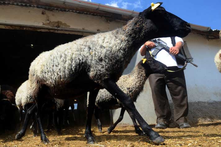 Resmi Bytmek in Tklaynz