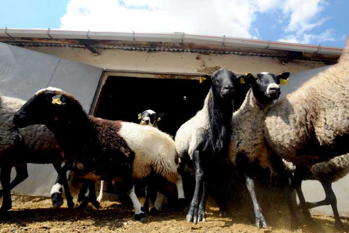 Resmi Bytmek in Tklaynz