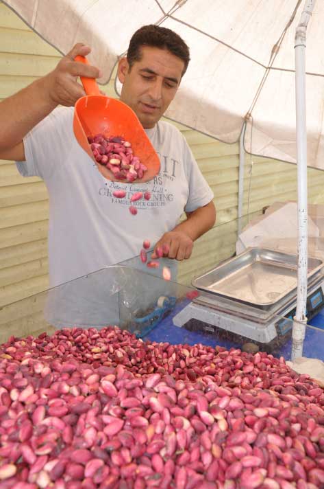 Resmi Bytmek in Tklaynz