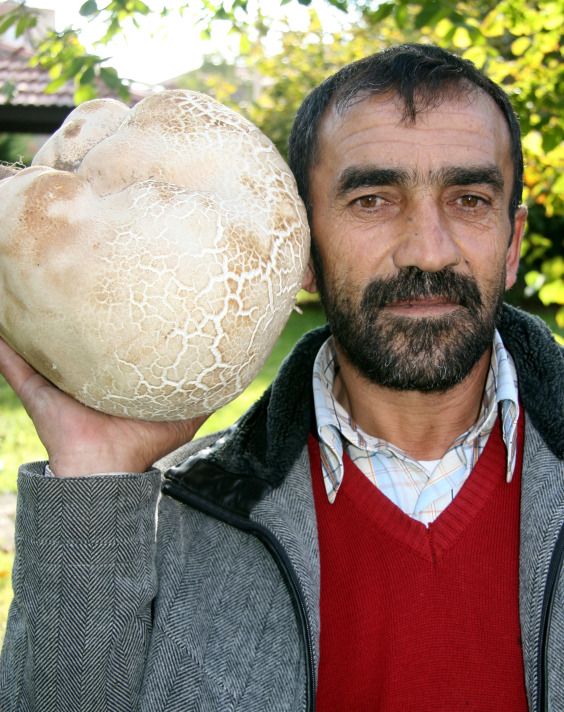 Resmi Bytmek in Tklaynz