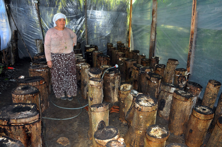 Resmi Bytmek in Tklaynz