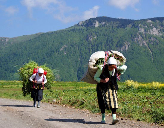 Resmi Bytmek in Tklaynz