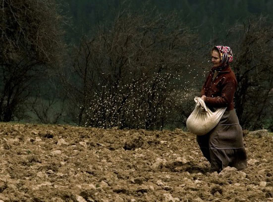 Resmi Bytmek in Tklaynz