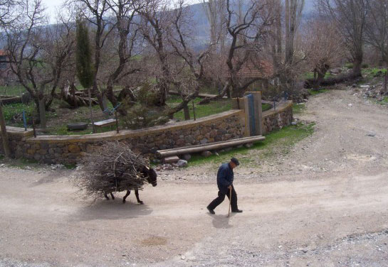 Resmi Bytmek in Tklaynz