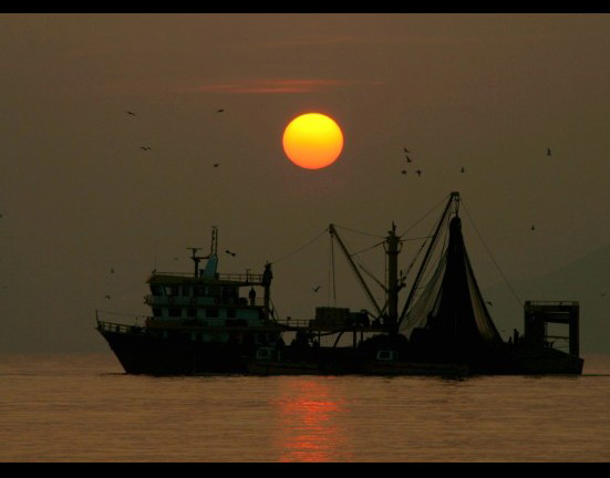 Resmi B�y�tmek ��in T�klay�n�z