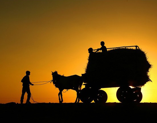 Resmi B�y�tmek ��in T�klay�n�z