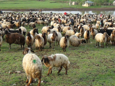 Resmi B�y�tmek ��in T�klay�n�z