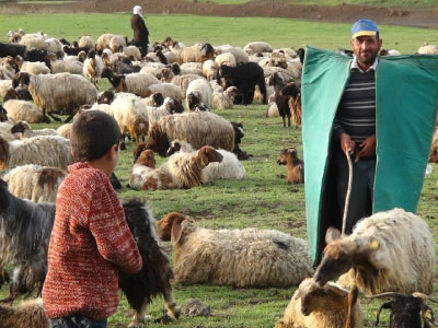 Resmi B�y�tmek ��in T�klay�n�z