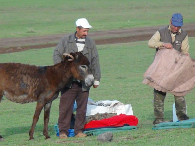 Resmi B�y�tmek ��in T�klay�n�z