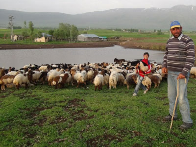 Resmi B�y�tmek ��in T�klay�n�z