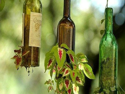 Resmi Bytmek in Tklaynz