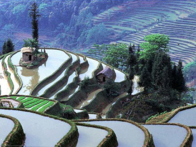 Resmi Bytmek in Tklaynz