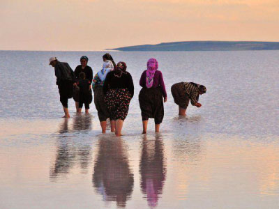 Resmi Bytmek in Tklaynz