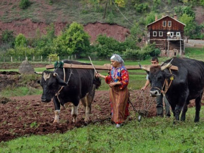 Resmi Bytmek in Tklaynz