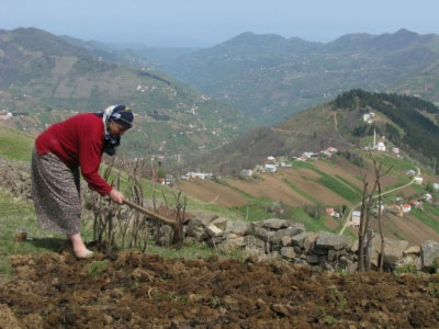 Resmi Bytmek in Tklaynz