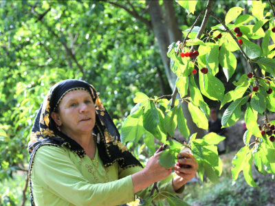 Resmi Bytmek in Tklaynz