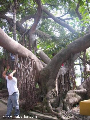 Resmi B�y�tmek ��in T�klay�n�z