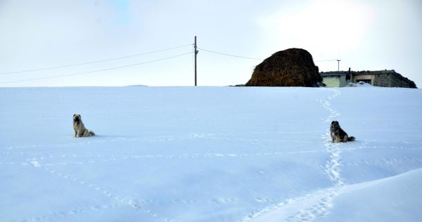 Resmi Bytmek in Tklaynz