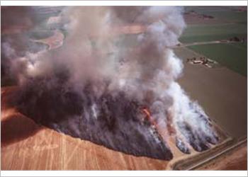 Resmi B�y�tmek ��in T�klay�n�z