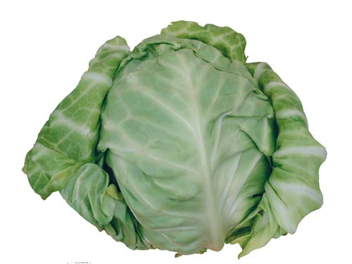 Resmi Bytmek in Tklaynz