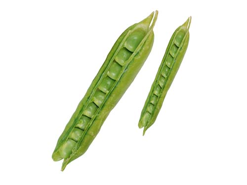 Resmi Bytmek in Tklaynz