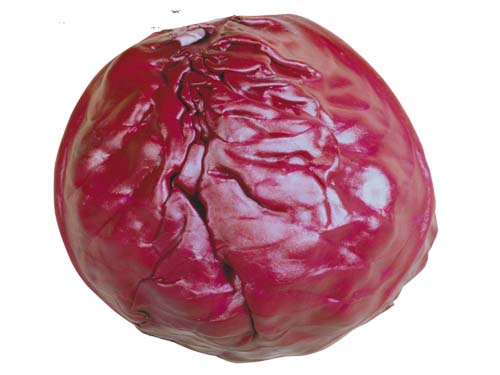 Resmi Bytmek in Tklaynz