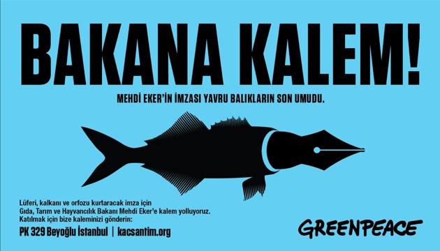 greenpeace bakana kalem