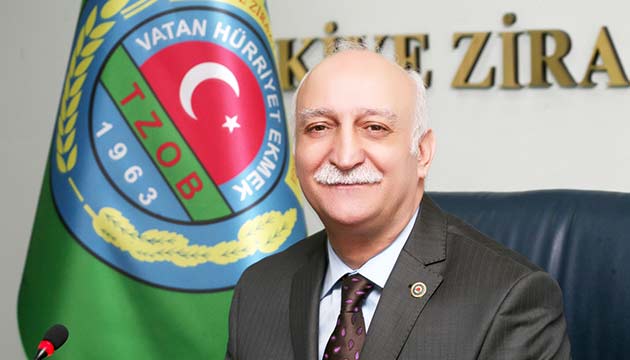 emsi Bayraktar