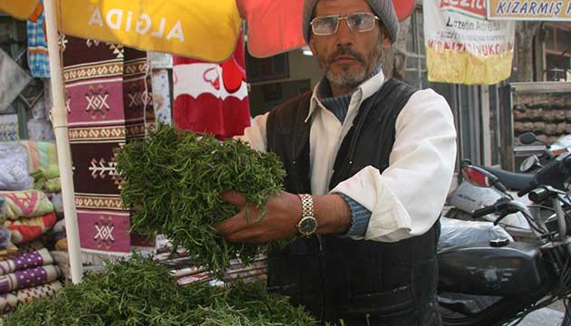 Yeni Mahsul Kekiin Kilosu 8 TL