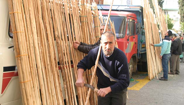 Zeytin hasat srklar satlmaya balad