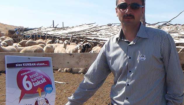Mandra sahibi kurbanlklar kredi kartna 6 taksitte satyor