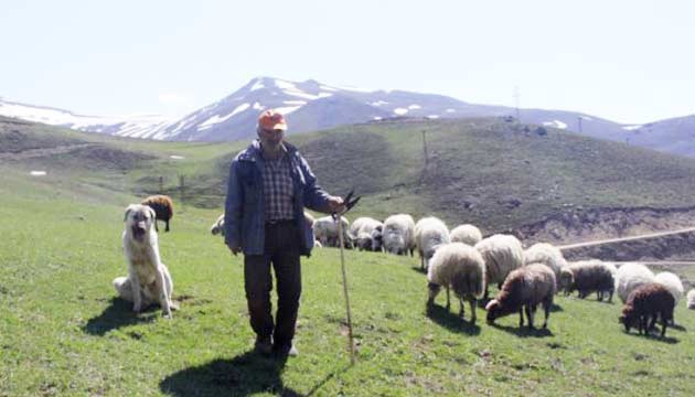 10 bin lira veriyoruz, oban bulamyoruz