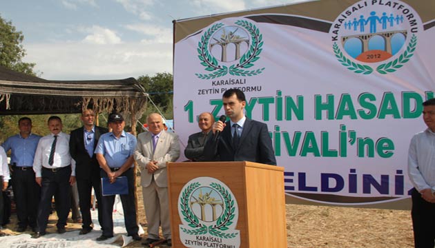Karaisalda Zeytin Hasat Festivali yapld