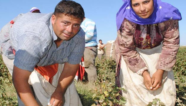 anlurfa iftisi Pamuktan Vazgemiyor