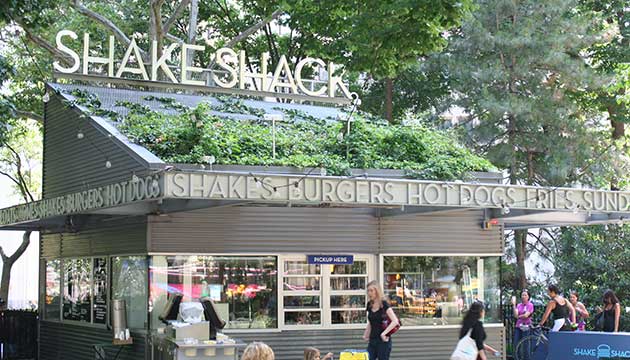 Shake Shack ,fast food