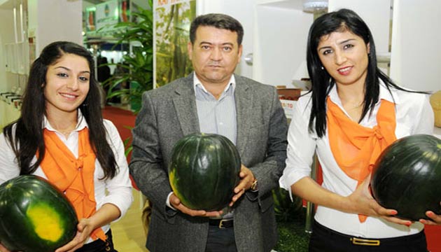 Anadolu
