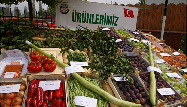 Sakaryada Bitkisel retimde Hasat ncesinde Pestisit Kalnts Takibi Yaplyor