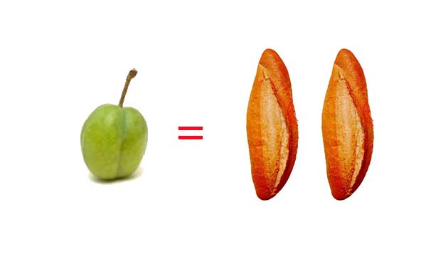 Bir erik= iki ekmek