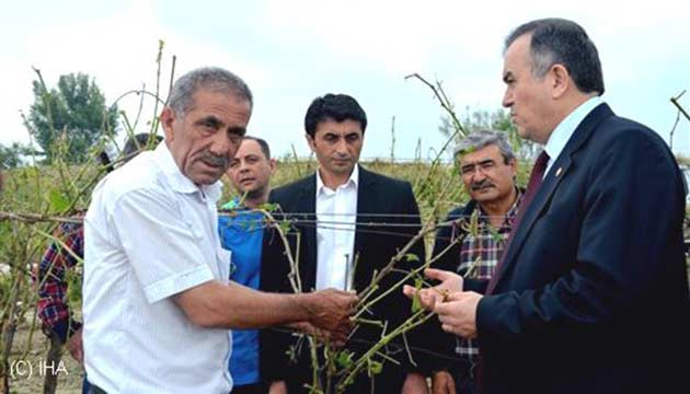 zmcnnn Dostu Akay, Sargl ve Alaehir