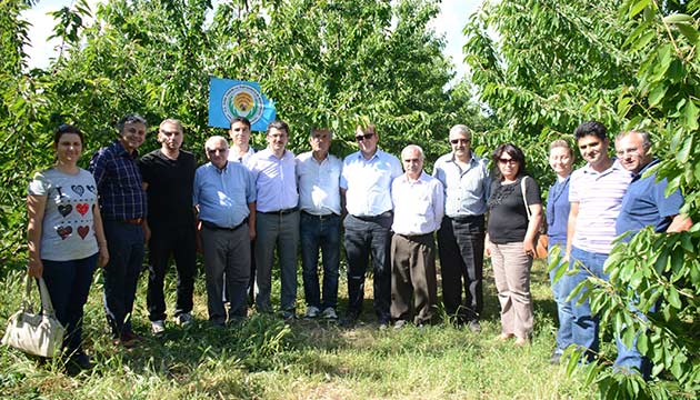 Tavas kiraz retimine yneliyor