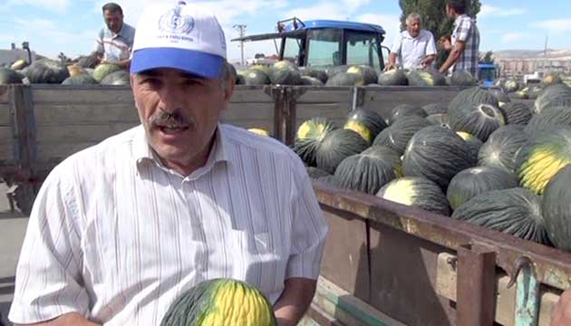 Kazan ova kavunu pazara indi